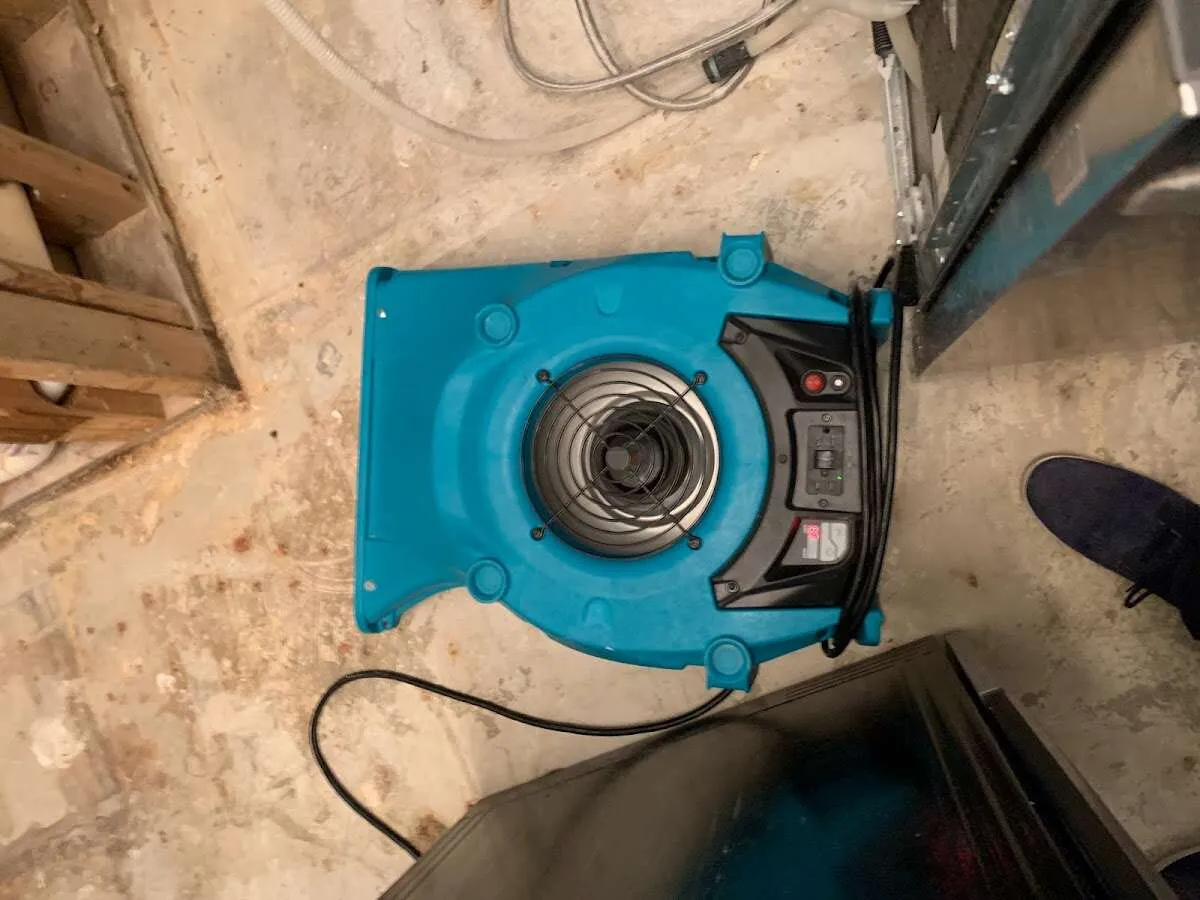 Air mover drying equipment for Mold Remediation & Removal in Old Saybrook